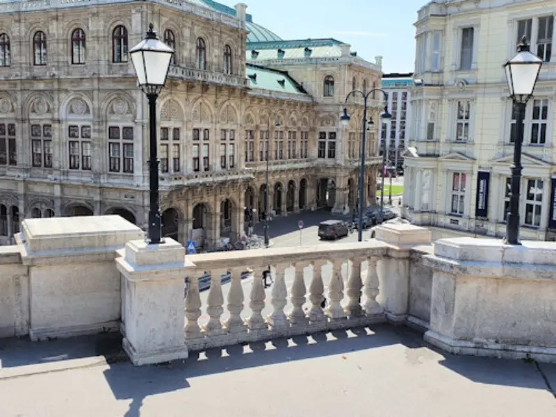 爱在黎明破晓前维也纳漫步 - 五一吃瓜